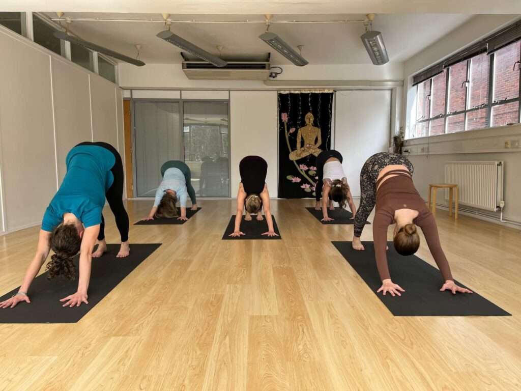 yoga courses for beginners